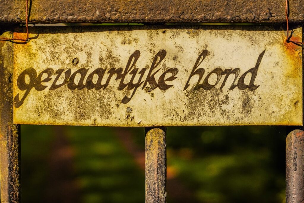 Versuche, eine Idee zu validieren: KI-gestützte